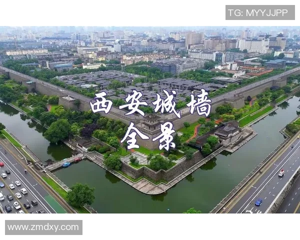 西安羽毛球队阵地战全景解析与发展趋势探讨